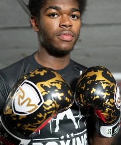RingMaster Sports Boxing Gloves Superfit Series