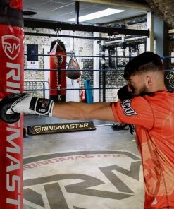 RingMaster Sports Boxing Gloves Victory Series