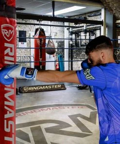 RingMaster Sports Boxing Gloves Victory Series