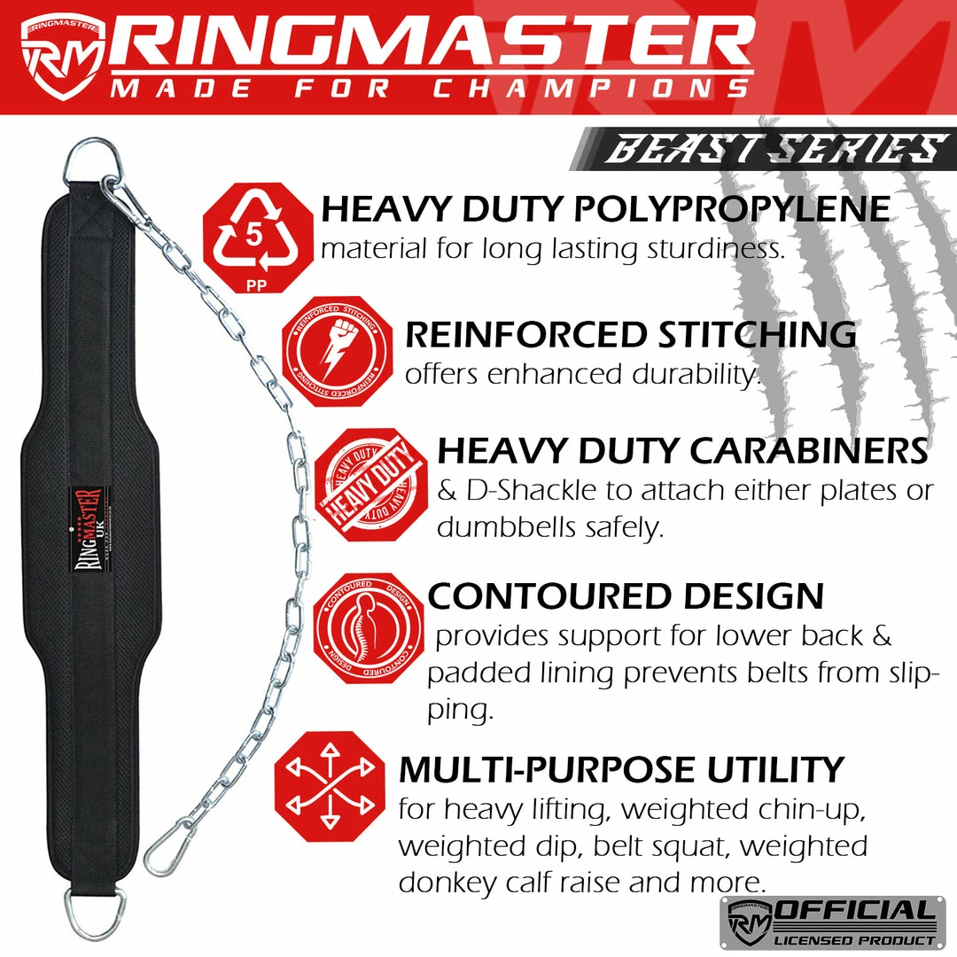 Fitness RingMaster Sports Weight Lifting Training Dipping Belt With Chain