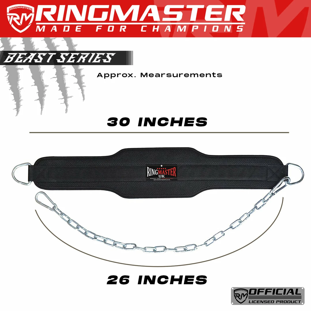 Fitness RingMaster Sports Weight Lifting Training Dipping Belt With Chain