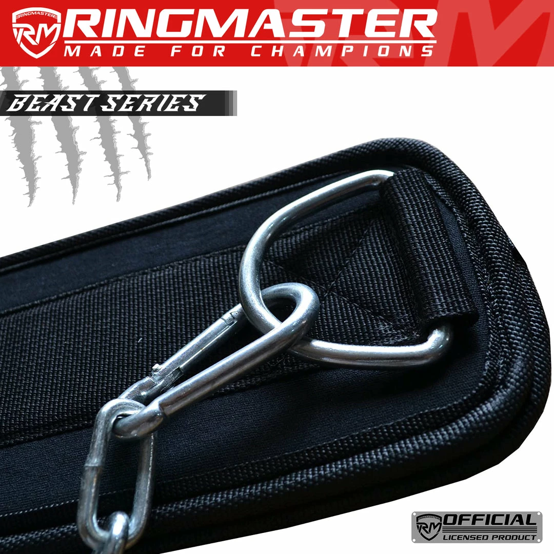 Fitness RingMaster Sports Weight Lifting Training Dipping Belt With Chain