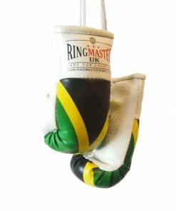 RingMaster Sports Mini Boxing Gloves Car Hanger