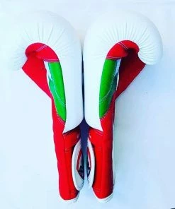 RingMaster Sports Special Edition Boxing Gloves Wales